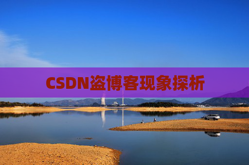 CSDN盗博客现象探析 CSDN盗博客现象探析